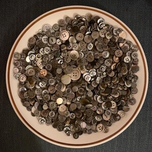 May include: A white ceramic plate with a brown rim holds a large collection of assorted mother-of-pearl buttons in various sizes and shapes.