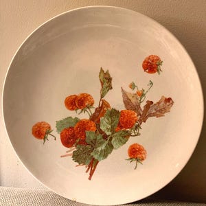 Vintage Early 1900s Porcelain Ceramic Round Handpainted Red Raspberries Dinner Plate / Decorative Gift or Wall Plate