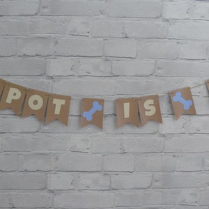 May include: A brown paper banner with the words "SPOT IS 7" in yellow letters. The banner has blue bone shapes between the words.