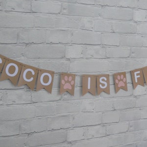 Dog Cat Pet Birthday Bunting.  Pet Decoration.