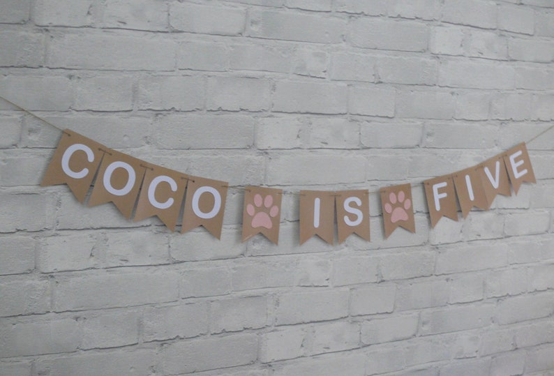 May include: A brown paper banner with white letters that reads "Coco is five" with pink paw prints between the words.