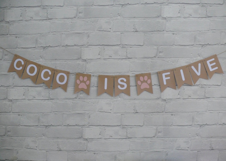 May include: A brown paper banner with white letters that reads "Coco is Five" with pink paw prints between the words.