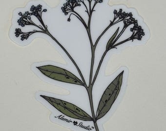 Pegatina de flores silvestres botánicas/calcomanía artística dibujada a mano para botella de agua