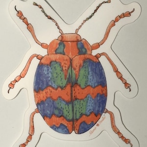 Beetle Bug Sticker Art Laptop Sticker Phone Sticker Water Bottle Sticker Fun Sticker Colorful Bug Sticker Bug Decal Insect Sticker Decal