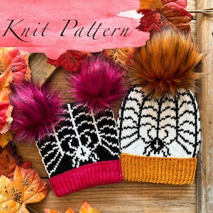 KNITTING PATTERN: The Fiber Web Beanie /  2 Knit Hat Patterns in 3 sizes, Stranded Colorwork Knitting Pattern, Worsted Knit Pattern