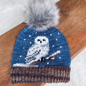 May include: A blue knit hat with a snowy owl design. The hat features a gray faux fur pom-pom on top and a brown and tan ribbed brim. The owl is white with black and yellow details, perched on a brown branch, with white snowflake accents.