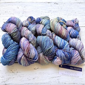 Malabrigo Vientos - ARAPEY, Filato voluminoso, 2 capi, 100% lana merino superlavabile, Filato Malabrigo, 100gr - 130 yard, Regalo per magliai e uncinettatori