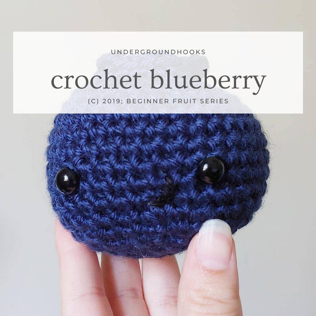 Crochet Blueberry Pattern Easy Beginner Crochet Plushie Kawaii Fruit Lover  Play Kitchen 