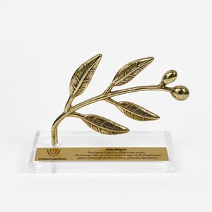 May include: A gold-toned metal olive branch sculpture with textured leaves and two small olives, mounted on a clear rectangular acrylic base. A gold plaque on the base features the text Olive Branch, the Cyprus emblem, and descriptive text.