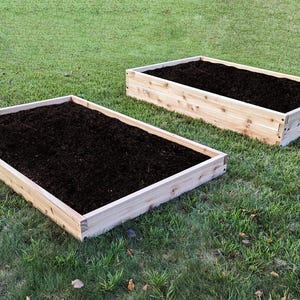 May include: Two rectangular wooden raised garden beds filled with dark soil, set on a green grassy lawn. The beds are made of light-colored wood and are ready for planting. Ideal for growing vegetables or flowers.