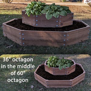May include: Two-tiered, octagonal wooden planter boxes with plants. The larger box is 60 inches across, and the smaller box is 36 inches across. The boxes are filled with soil and plants. The text on the image reads "36" octagon in the middle of 60" octagon."
