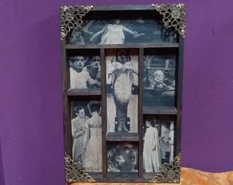 Bride of Frankenstein Mod.4 Cabinet of Curiosities