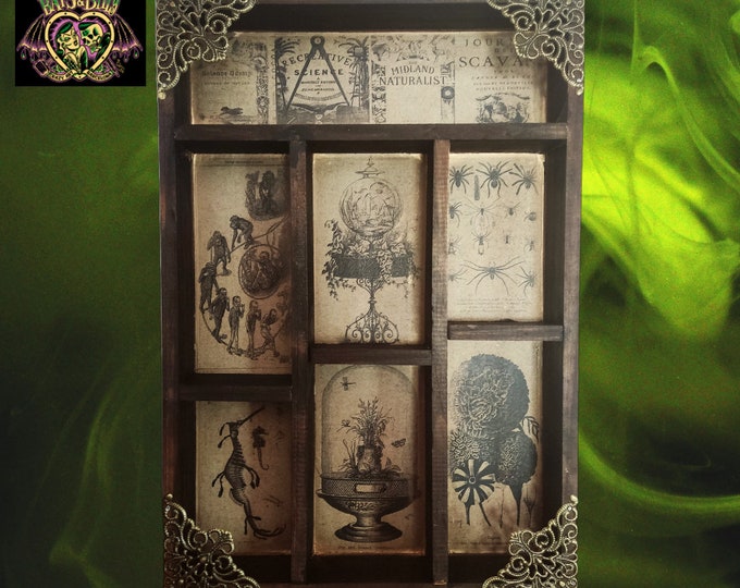 Victorian Cryptozoology Mod.1 -Cabinet of Curiosities: