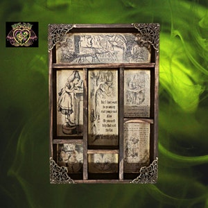 Alice in Wonderland. Cabinet of curiosities