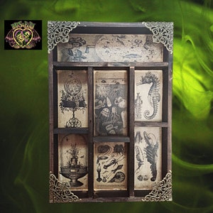 Victorian Cryptozoology Mod2. Cabinet of Curiosities