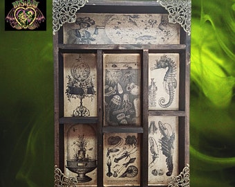 Victorian Cryptozoology Mod2. Cabinet of Curiosities
