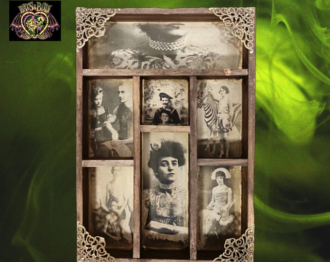 Tattoo MAUD. Cabinet of Curiosities