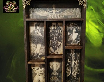 Cabinets of Curiosities