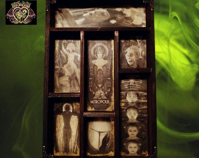 Metropolis. Cabinet of Curiosities