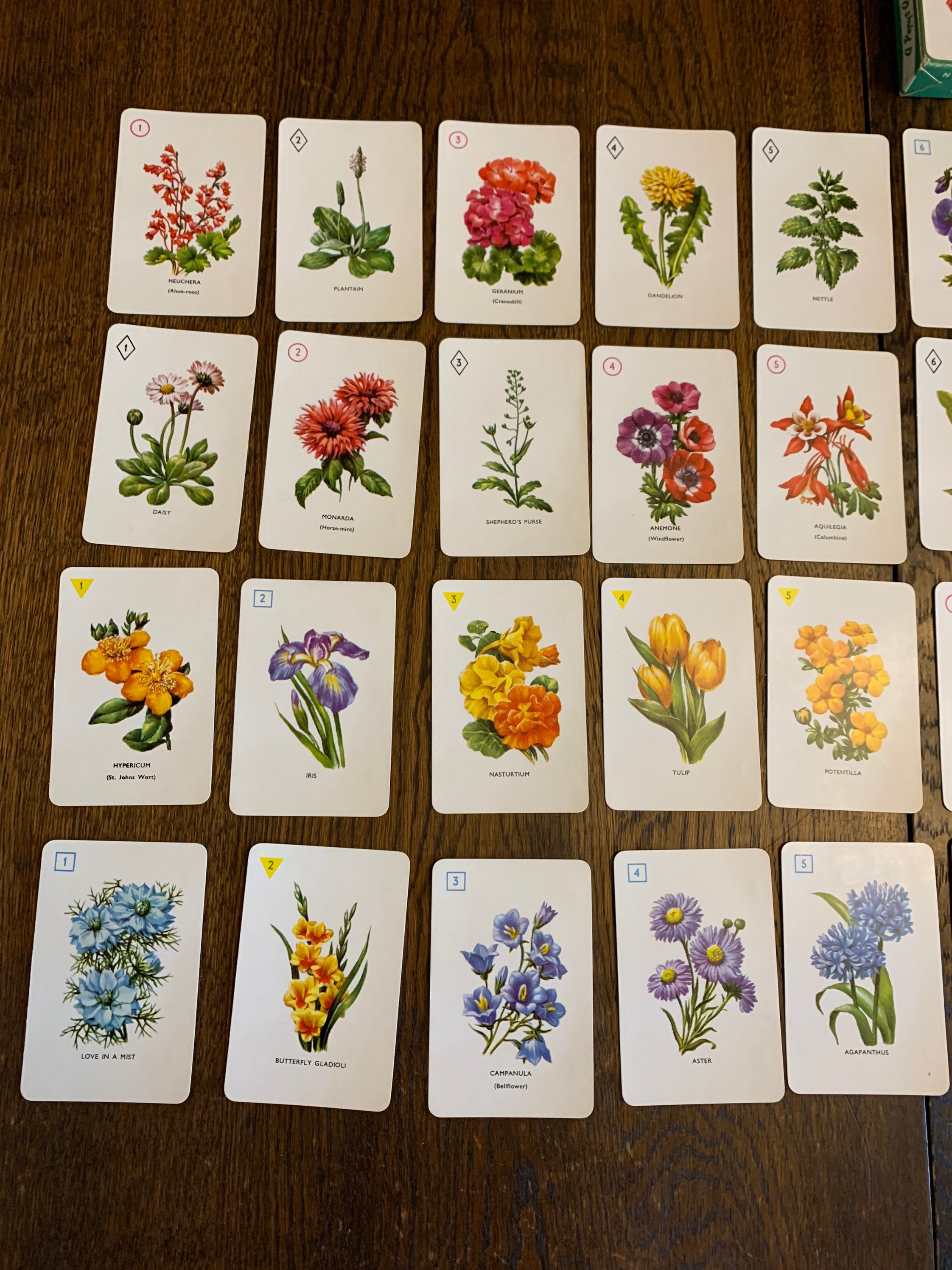 Vintage Garden Flowers Card Game by Pepys 1961 boxed with Etsy