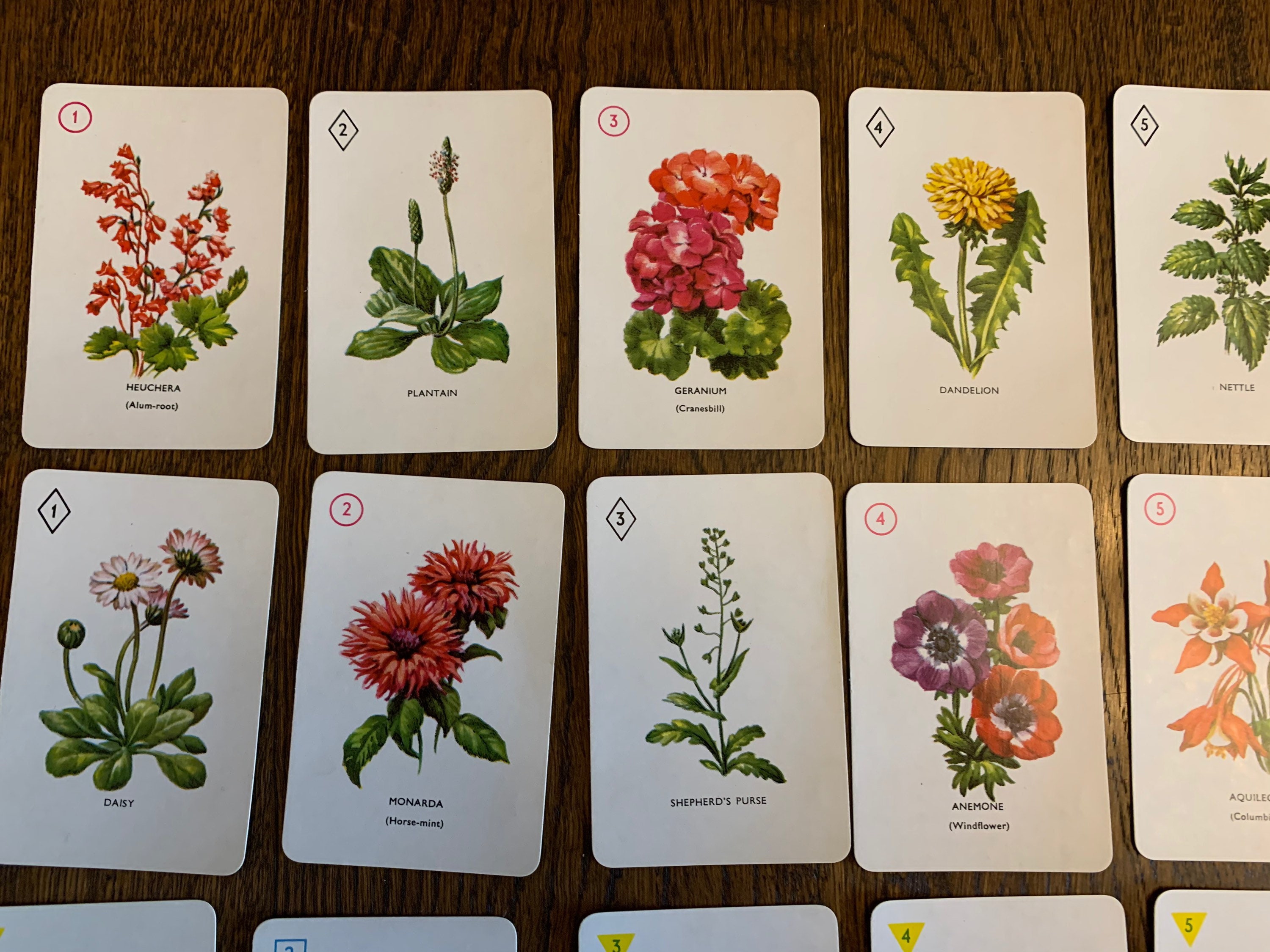 Vintage Garden Flowers Card Game by Pepys 1961 boxed with Etsy