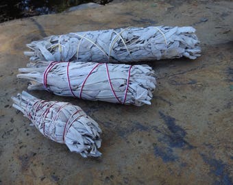 White Sage bundle. Native american purification ceremony. White sage stick. Smudging, cleansing, purification ritual. Small-Md- Large bundle