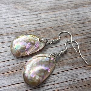 Könnte beinhalten: Ein Paar Ohrringe aus schimmernden Muscheln mit silbernen Haken. Die Muscheln sind oval geformt und haben einen perlmuttartigen Glanz.