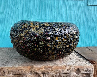 Sea Urchin Planter/ Sea Urchin Bowl