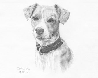 Custom Pet. Custom Portrait. Hand-drawn pet illustration! Add costume ;) A5 original animal drawing on cartridge paper. Lovely pet memorial.