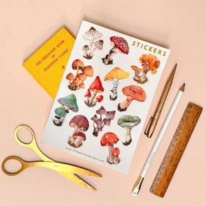 Feuille d'autocollants A5 Champignons | Illustrations de champignons | Feuille d'autocollants en vinyle écologique | Stickers champignons et champignons vénéneux | Petits motifs cachemire