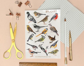 British Birds A5 Sticker Sheet | Bird Illustrations | Eco Vinyl Sticker Sheet | Bird Life Stickers | Little Paisley Designs