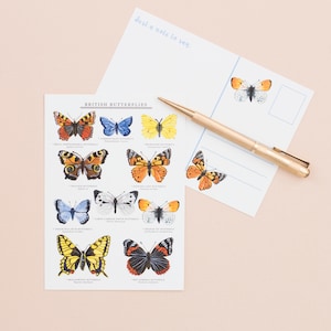 Postal de mariposas británicas / Naturaleza británica / Arte de la naturaleza / Postal con estampado botánico / Correspondencia / Tarjeta de felicitación / Postal de mariposas