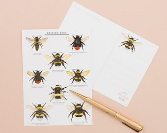 British Bees Postcard | British Nature | Nature Art | Bee Print Postcard | Correspondence | Notecard | Bee Postcard | Bee Illustration