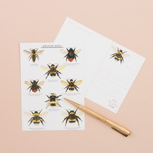 British Bees Postcard | British Nature | Nature Art | Bee Print Postcard | Correspondence | Notecard | Bee Postcard | Bee Illustration