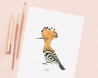 Hoopoe illustriert Giclée Druck | Vogel-Druck | Giclée-Druck | Natur-Kunst | Aquarell Malerei | Kleine Paisley Designs | 18 x 24 cm