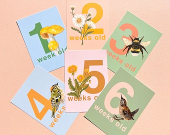 Baby Age Photo Prompt Cards Set | Baby Shower Gift | New Baby | British Nature Illustrations | Little Paisley Designs