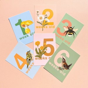 Ensemble de cartes d’invite photo pour l’âge du bébé | Cadeau de fête de naissance | Nouveau bébé | Illustrations de la nature britannique | Petits dessins cachemire