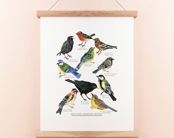 British Garden Birds Print | Bird Giclée Print  | British Nature Print | Bird Painting | British Bird Print | British Wildlife | 30x40 cm