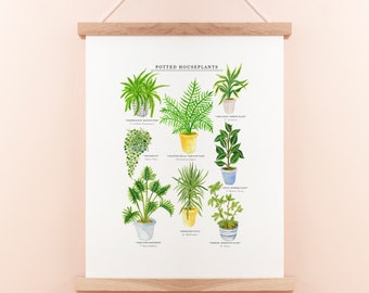 Potted House Plants Print | Plants Giclee Print | Houseplants Print | Nature Illustration | Botanical Print | Plant Print | 30 x 40 cm Print