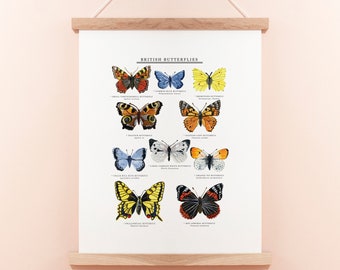 British Butterflies Print | Illustrated Giclée Print | Butterfly Print | British Nature Print | British Wildlife Illustration | 30 x 40 cm