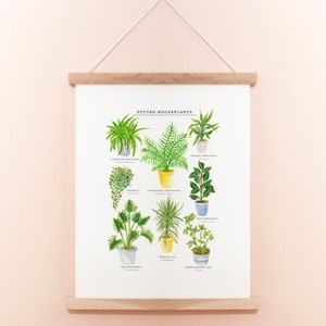 Potted House Plants Print | Plants Giclee Print | Houseplants Print | Nature Illustration | Botanical Print | Plant Print | 30 x 40 cm Print