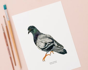 Pigeon Illustrated Giclée Print | British Bird Print | Nature Art | Watercolour Painting | Rock Pigeon | Little Paisley Designs | 18 x 24 cm