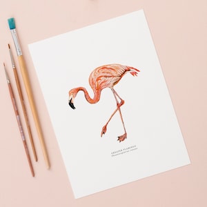 Flamingo Illustrated Giclée Print Giclée Print Nature Print Wildlife Painting Botanical Print Tropical Bird Bird 18 x 24 cm image 1