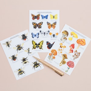 Jeu de cartes postales Nature britannique | Lot de 10 cartes postales | Faune britannique | Art naturel | Cartes postales à imprimé botanique | Correspondance | Carte de correspondance