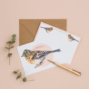 Britischer Vogel Notizblock | Packung mit 8 illustrierten Notizzetteln | Grußkarten und Umschlag im Paket | Britische Wildtiere | Schriftkorrespondenz Karte | Notizzettel