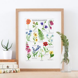 British Wild Flowers Print Illustrated Giclée Print Wildflower Print Flower Print British Nature Print Flower Painting 30x40cm image 3