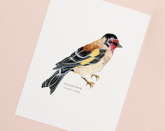 Charm of Finches I - Nature Inspired Art Print // A3 or A2 Large