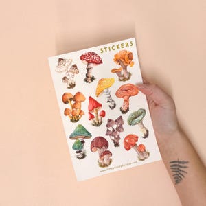 May include: A sheet of stickers featuring a variety of colorful mushroom illustrations. The stickers are arranged in a grid pattern and include different types of mushrooms, such as red and white spotted mushrooms, yellow mushrooms, and brown mushrooms. The sheet is labeled "STICKERS" at the top and includes the website "www.littlepaisleydesigns.com" at the bottom.