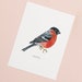 see more listings in the P R I N T S section