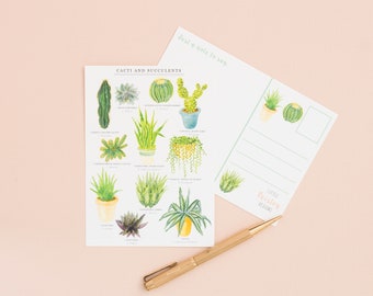 Cacti & Succulents Postcard | Plant Print | Nature Art | Botanical Print Postcard | Correspondence | Notecard | Plant Illustration | Cactus